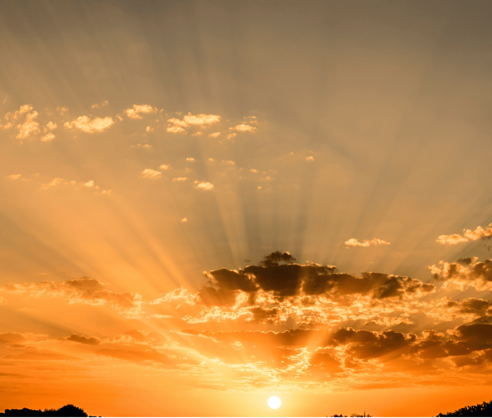 White Modern Business Proposal (4)